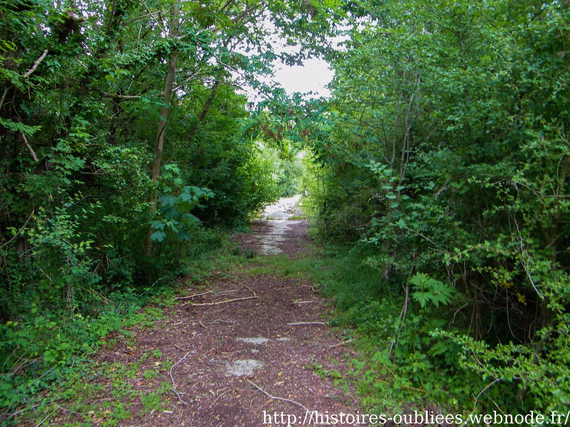 Camp militaire pyrotechnique | 2