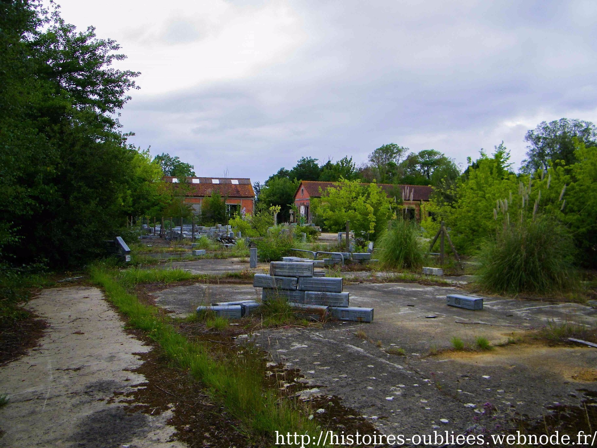Camp militaire pyrotechnique | 3