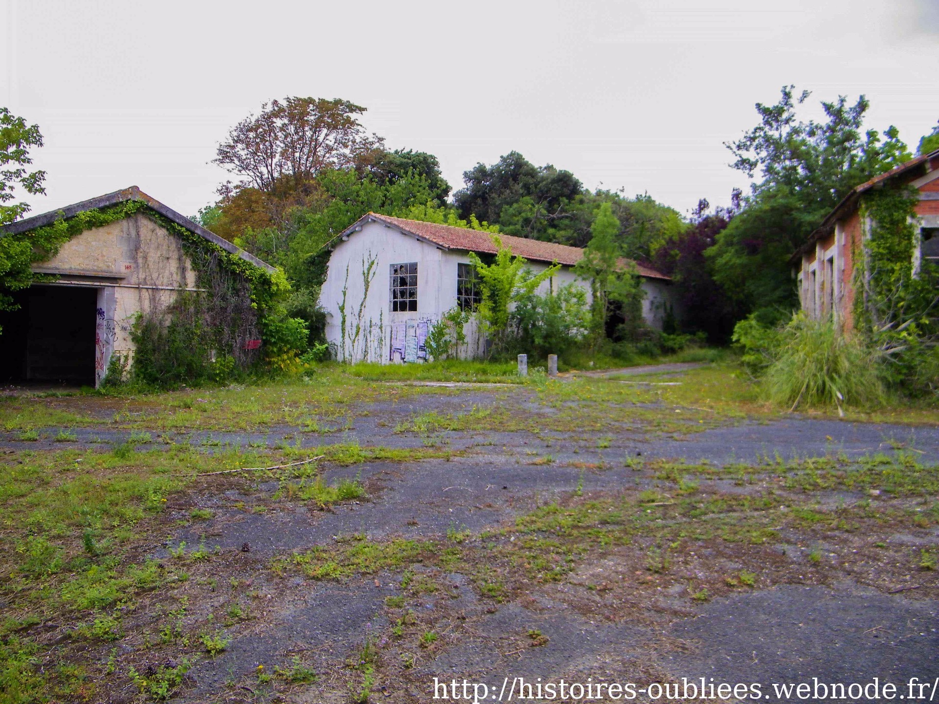 Camp militaire pyrotechnique | 7