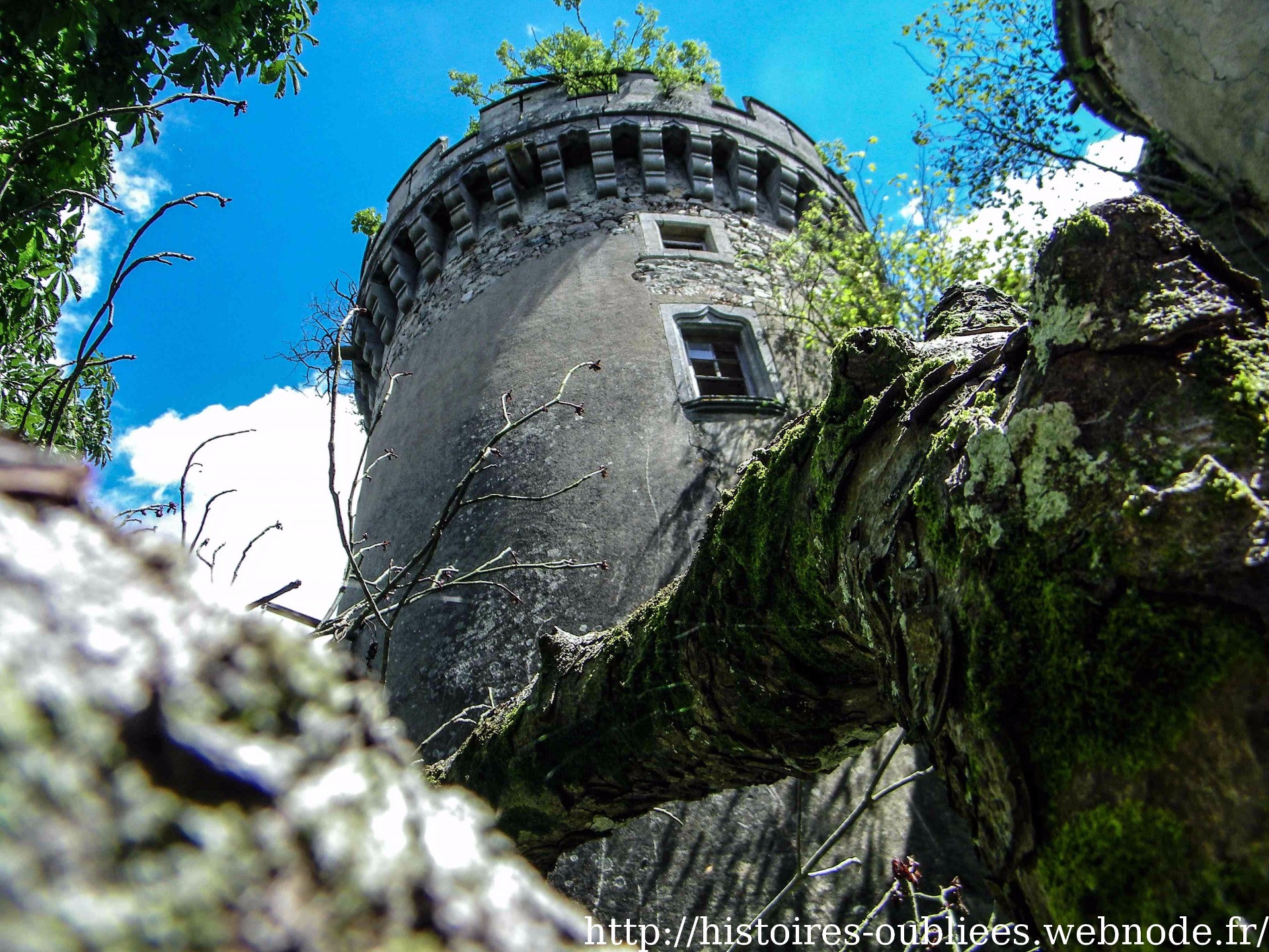 Château Vitraux | 8