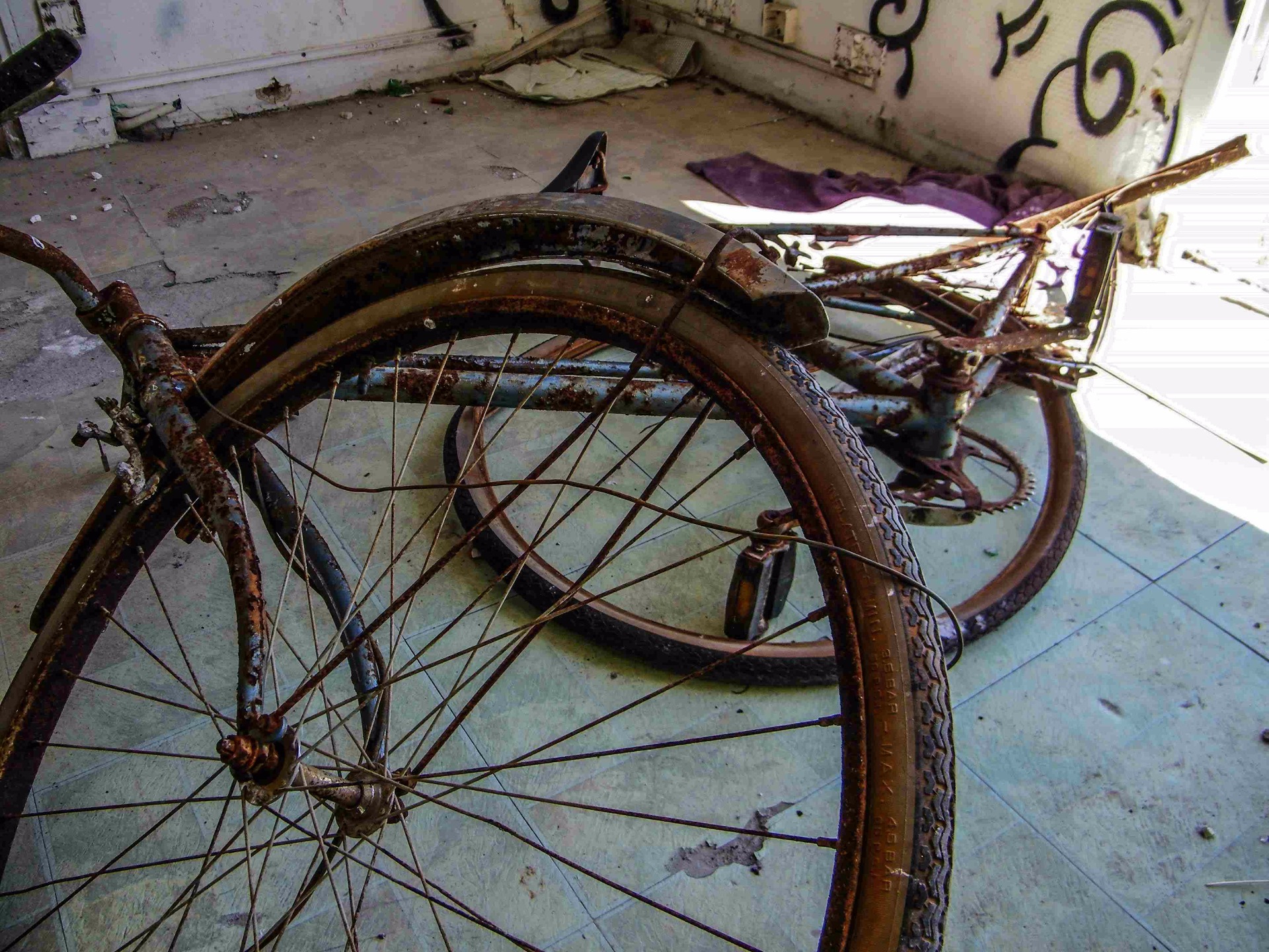 Campings des Fleaux Bleus | 10